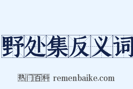 野处集反义词是什么意思的图片